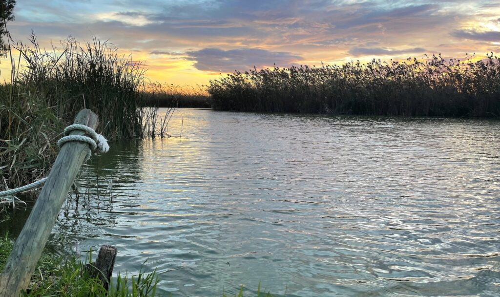 Albufera Natural Park - Valencia